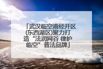 武汉临空港经开区(东西湖区)聚力打造“法润网谷 律护临空”普法品牌